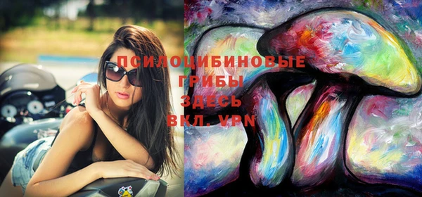 метадон Белокуриха